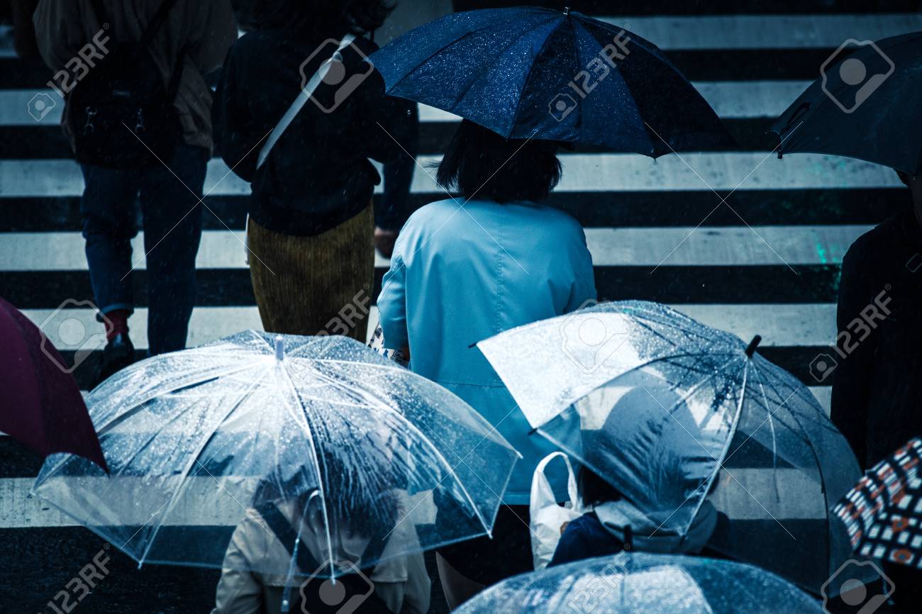 雨の日の横断歩道を渡る人たち の写真素材 画像素材 Image