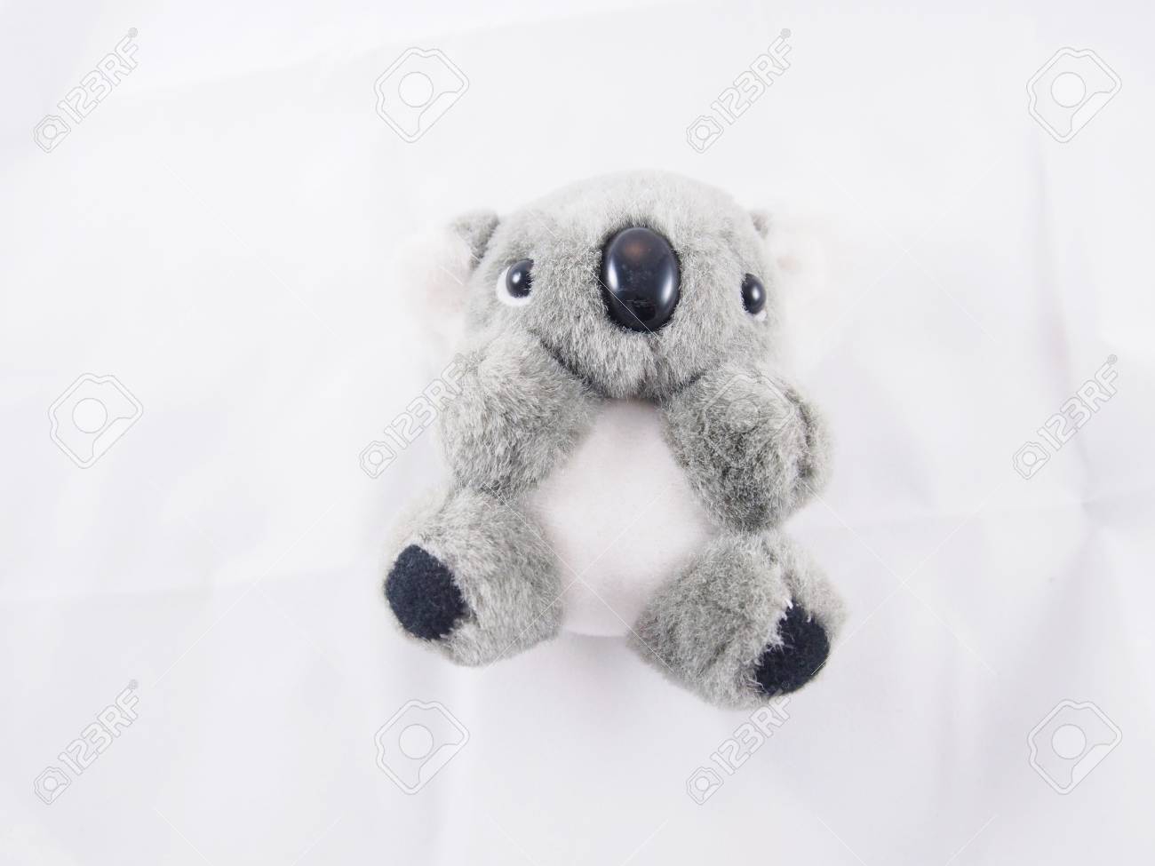 koala bear doll