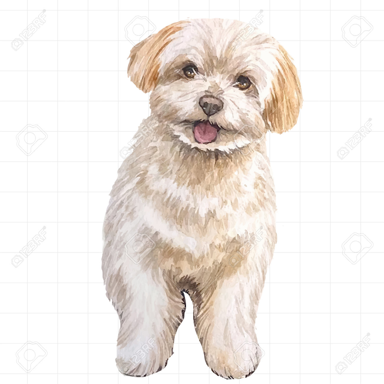 シーズー（立ちポーズ） 【公式通販】