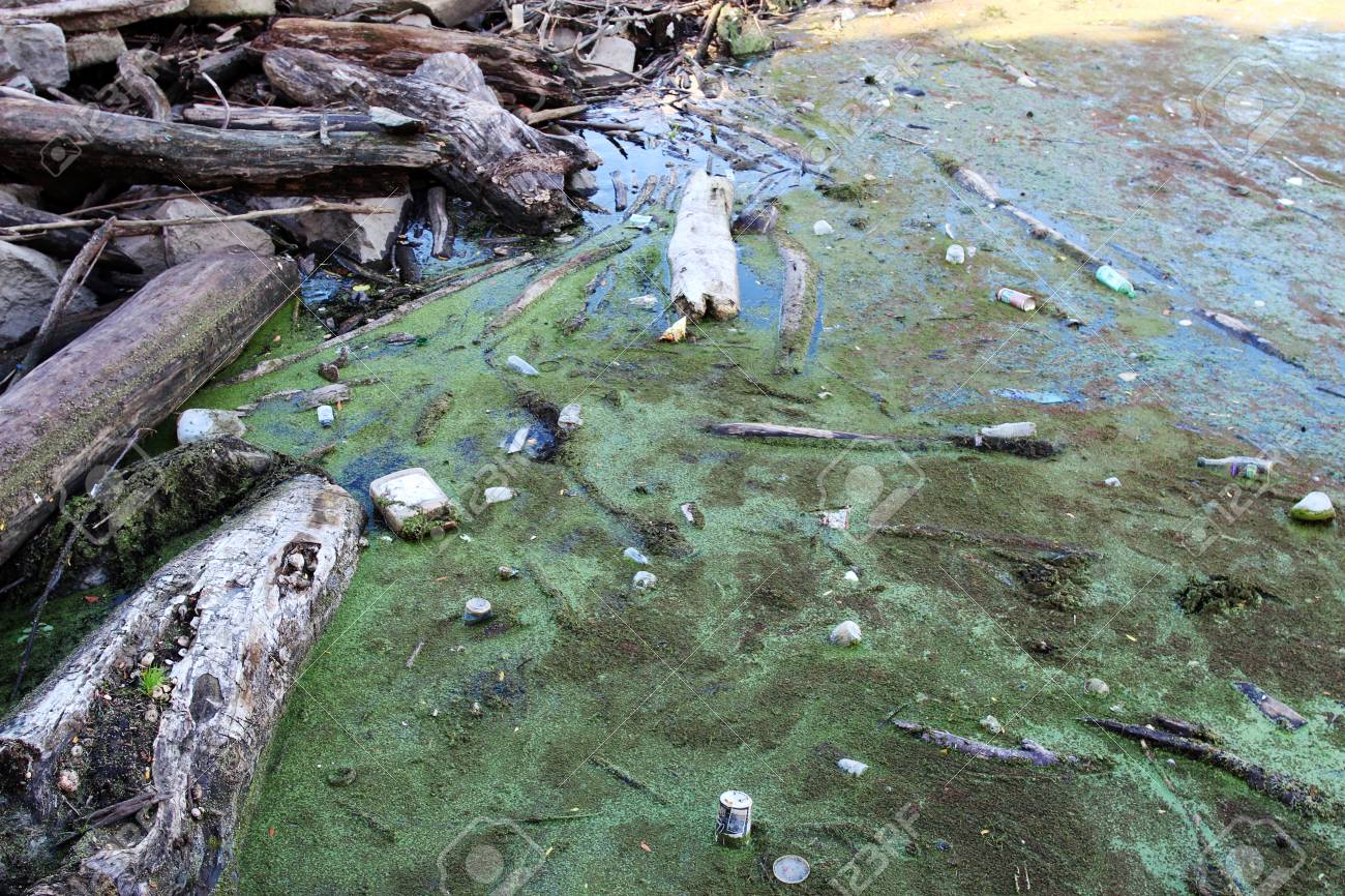 水汚染 ゴミ川の表面に浮かんで の写真素材 画像素材 Image