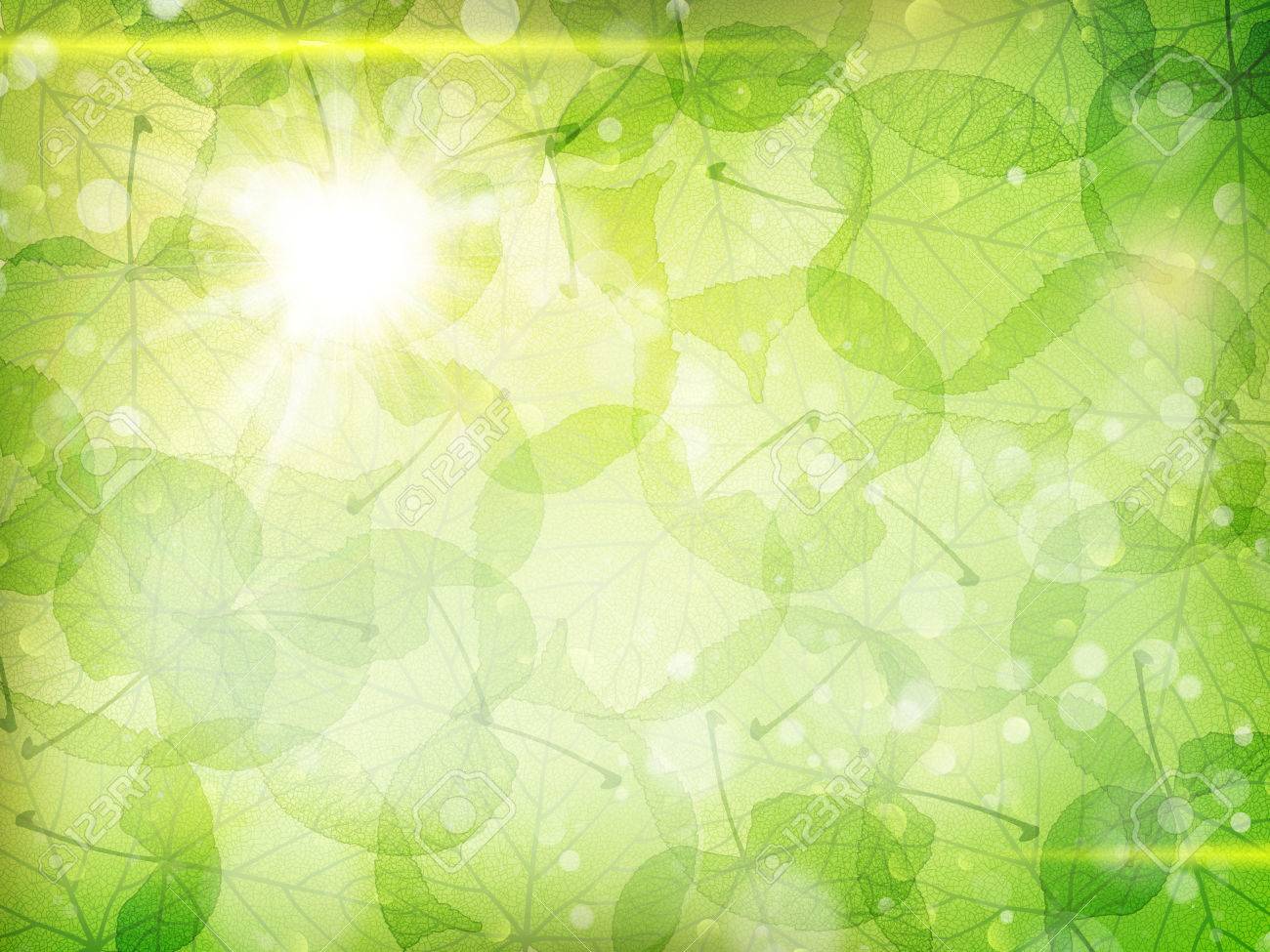 Green leaves background. EPS 10 vector file included - 51470966 Green leaves background. EPS 10 vector file included - 51470966