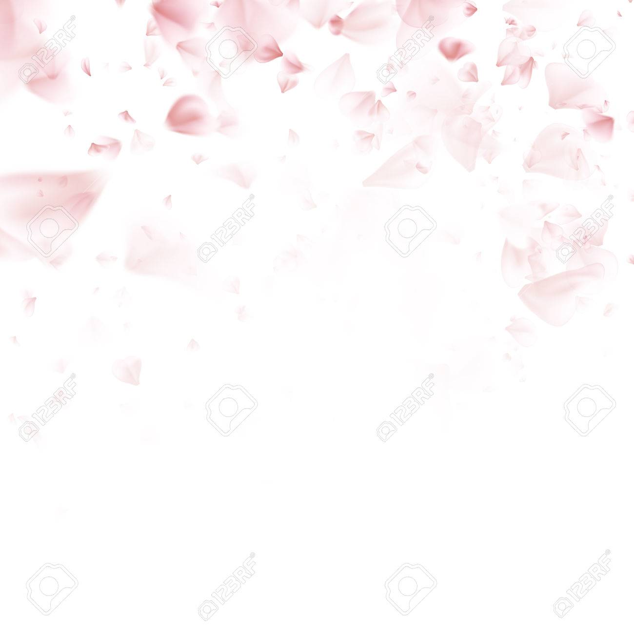 Téléchargement gratuit Images Beau Printemps De Lumiere Petales Volants Rose De Sakura actualisé salutations