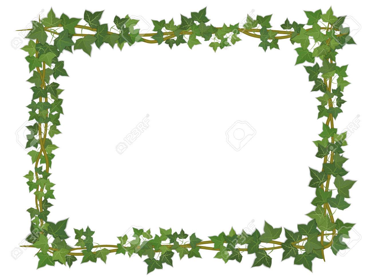 square decorative frame of ivy branches royalty free cliparts