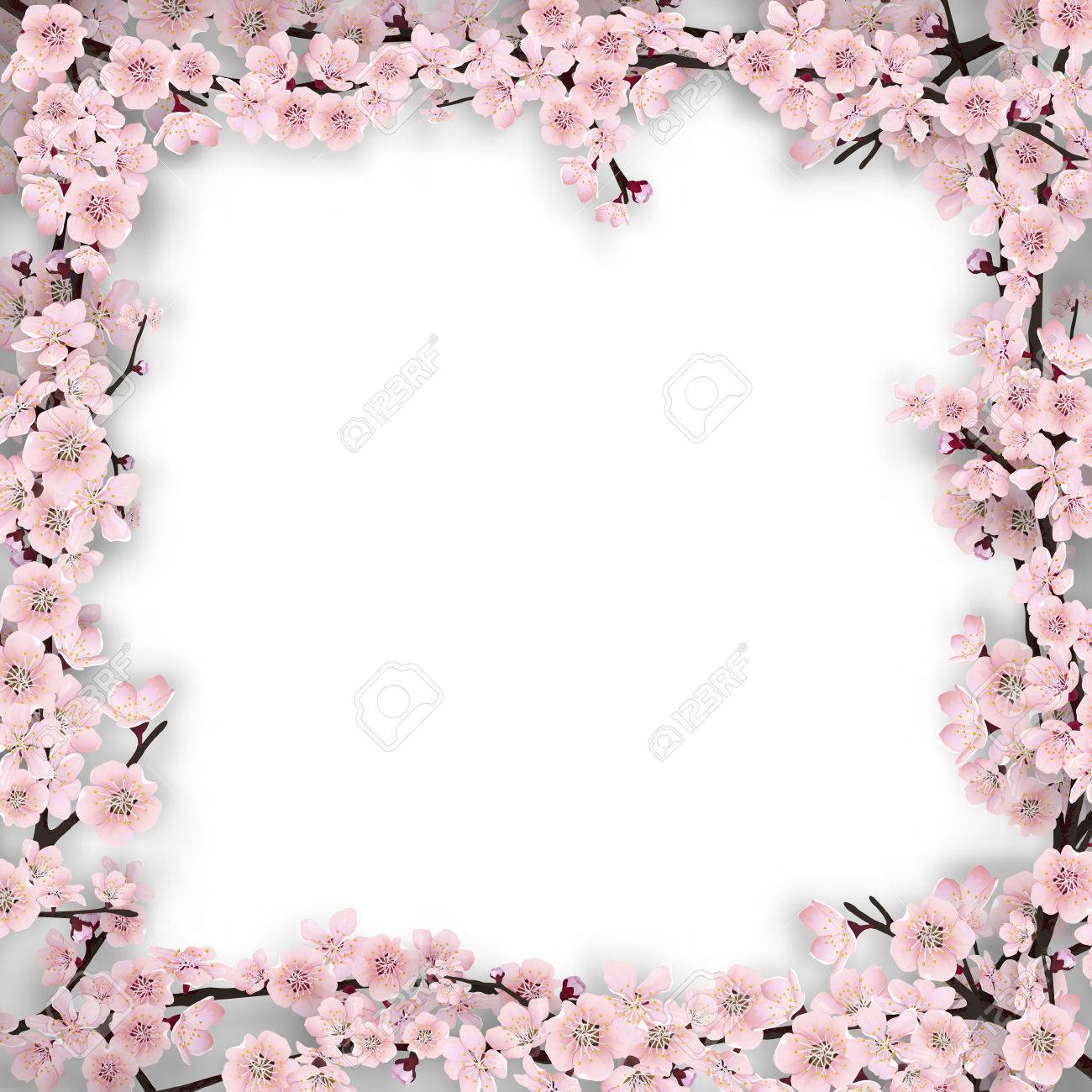 square frame of blossom