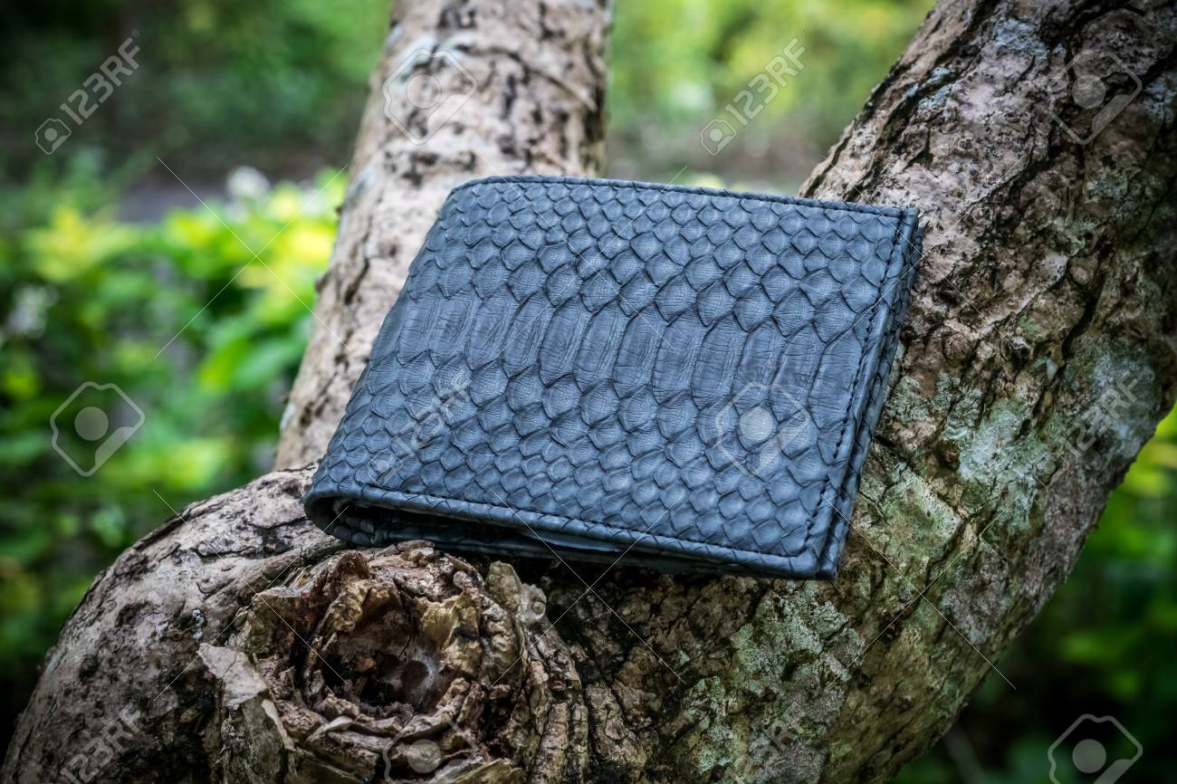 Exótico De La Cartera Del Pitón De La Piel De Serpiente En De Madera. Bolso De Lujo Hecho A Mano De La Isla De Bali, Indonesia. Fotos, Retratos,