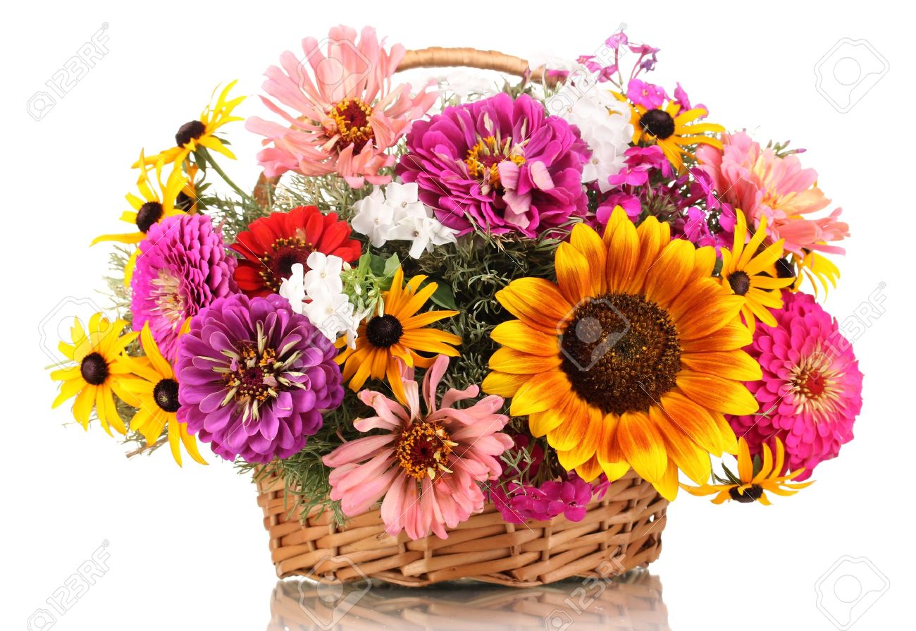 14906757-beautiful-bouquet-of-bright-flowers-in-basket-isolated-on-white.jpg