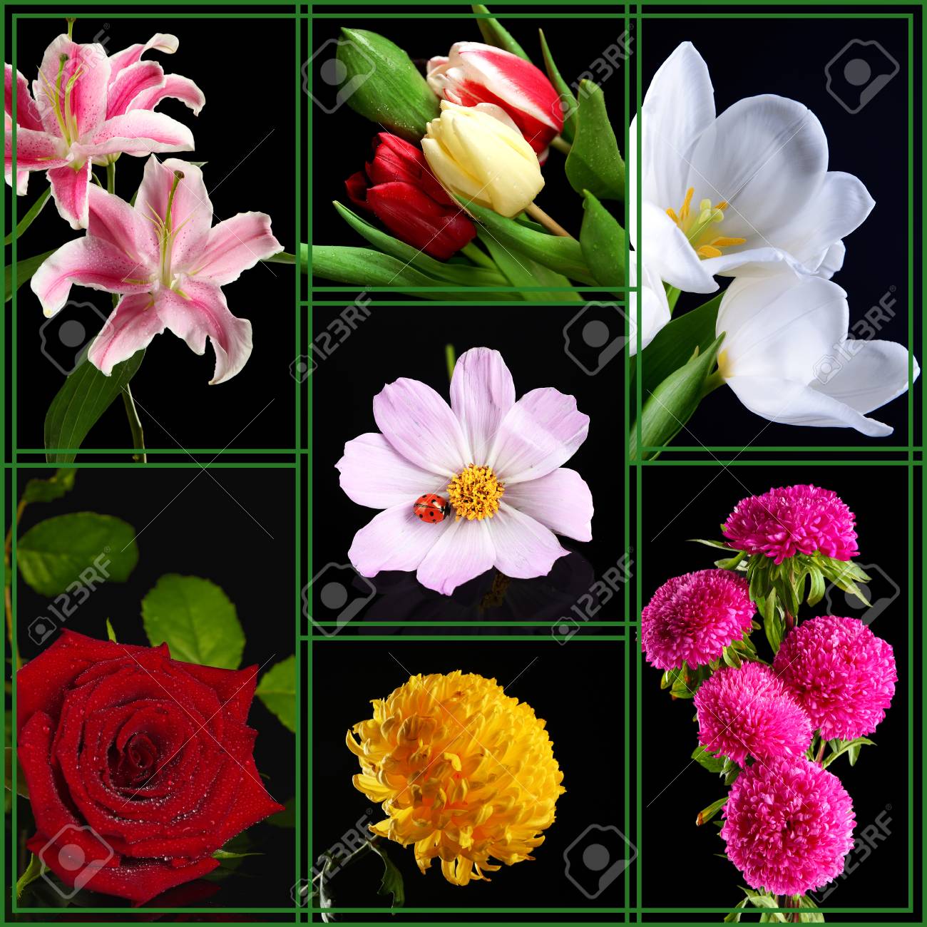 黒のきれいな花のコラージュ の写真素材 画像素材 Image