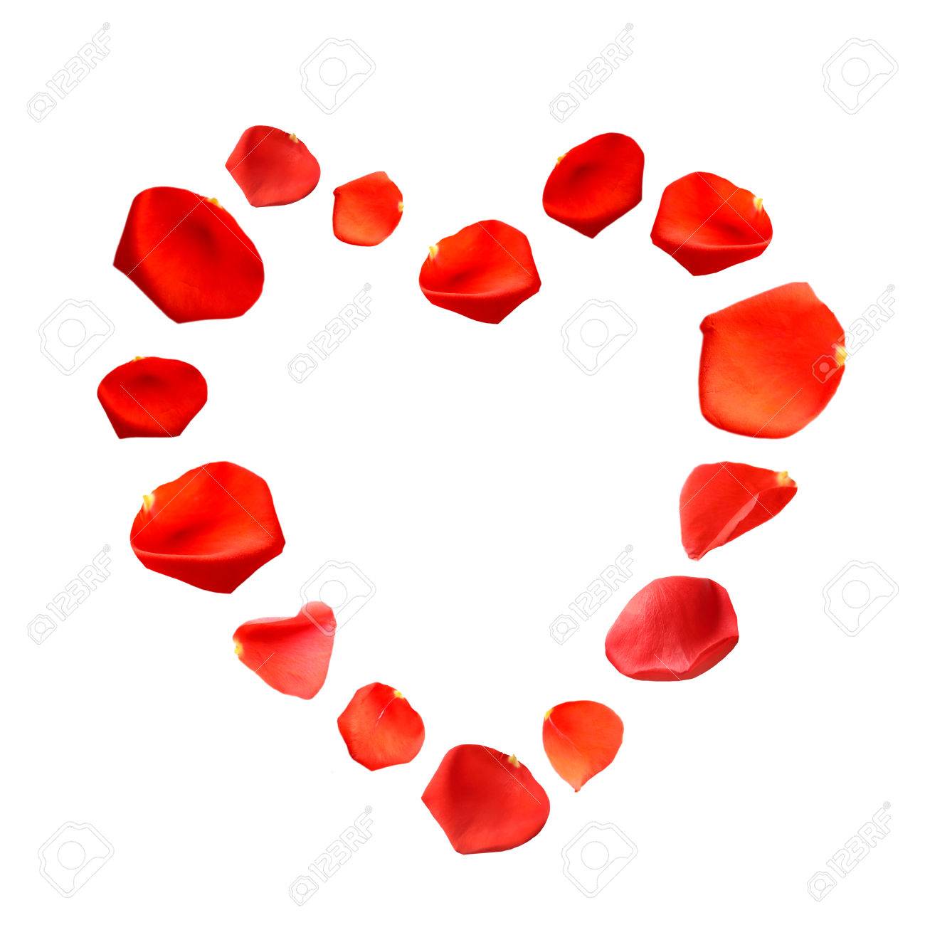 白で隔離 ハートの形に美しい赤いバラの花びら の写真素材 画像素材 Image