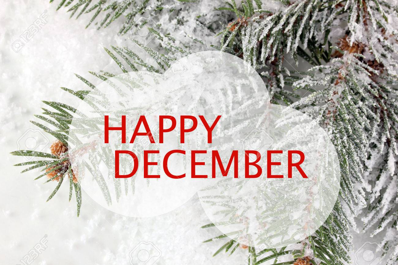Image result for happy december