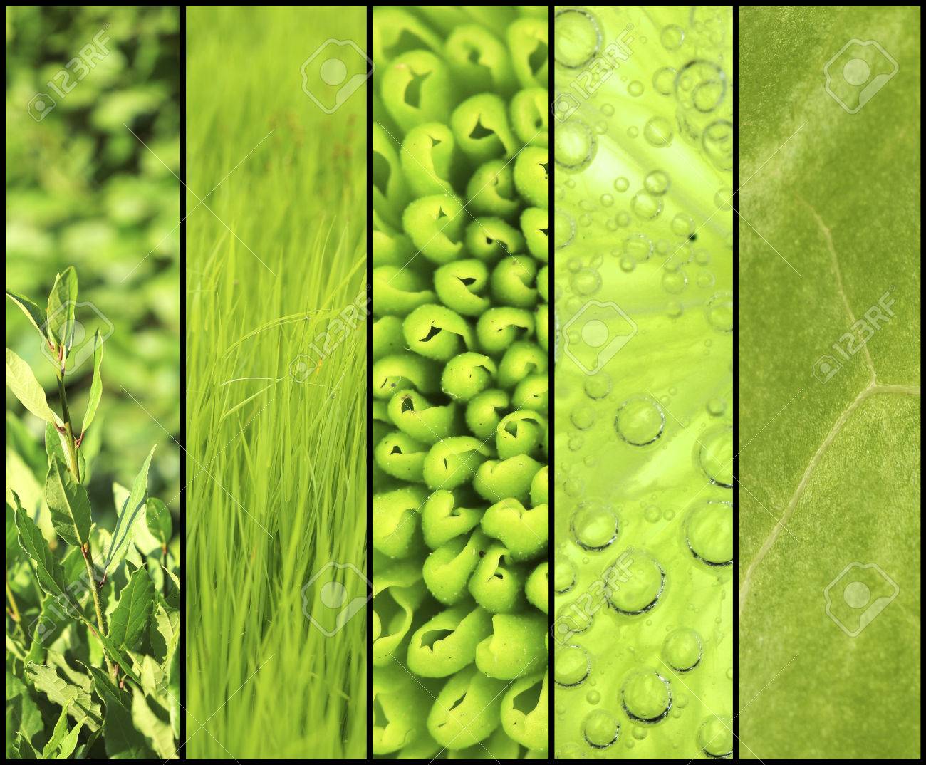 green color samples collage stock photo picture and royalty free collage samples