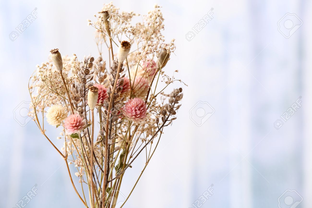 明るい背景上の花瓶にドライフラワーの花束 の写真素材 画像素材 Image