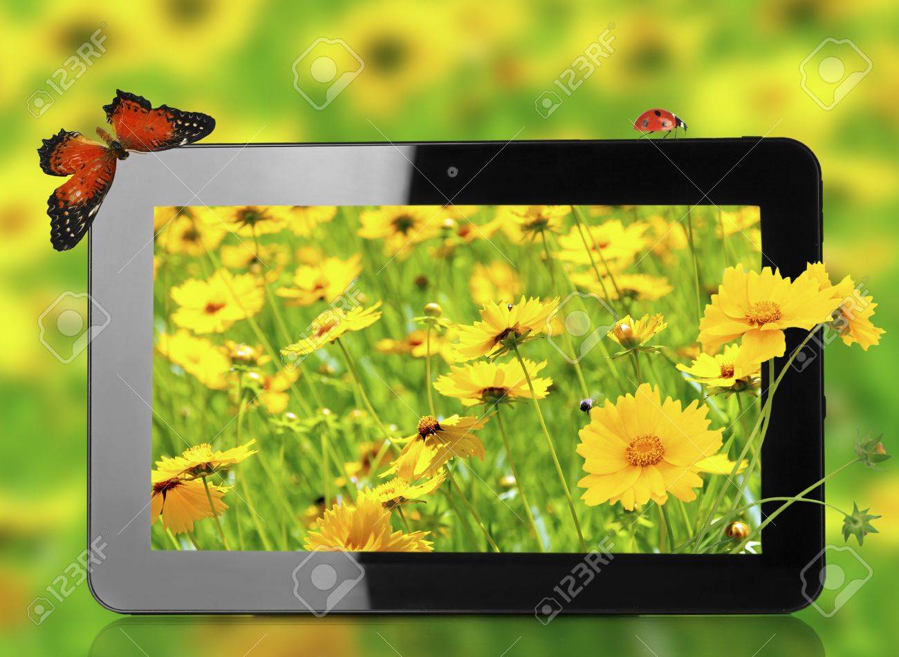 Tablet With Nature Wallpaper On Screens On Natural Background Tablet With Nature Wallpaper On Screens On Natural Background