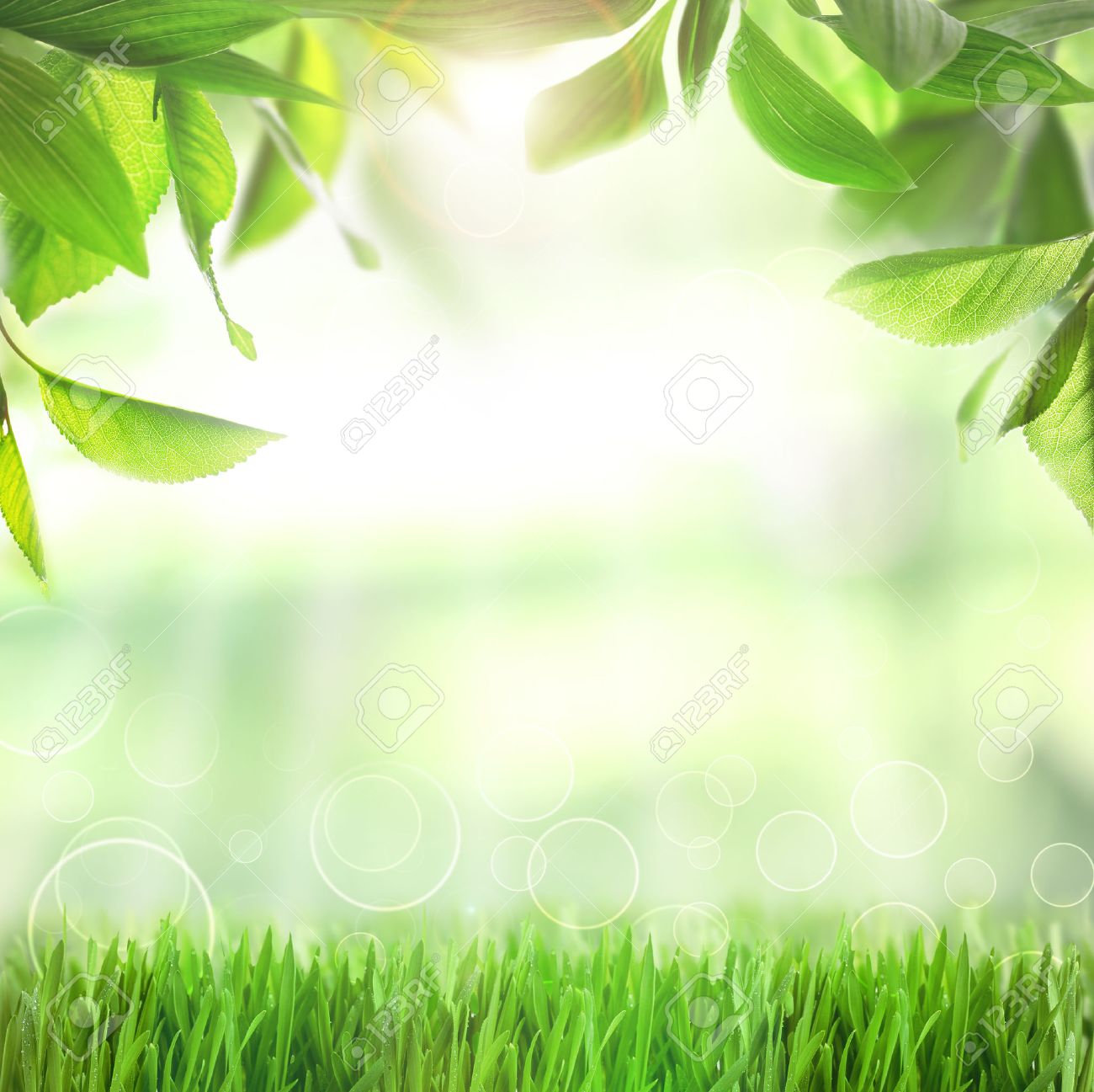 spring or summer season abstract nature background with green