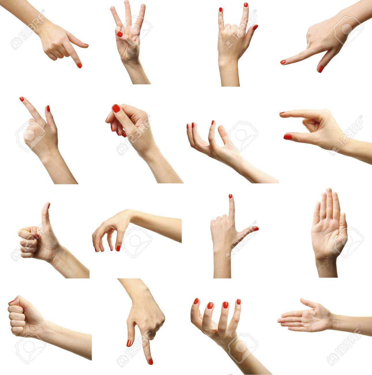 set of female hands gestures isolated on white stock photo picture