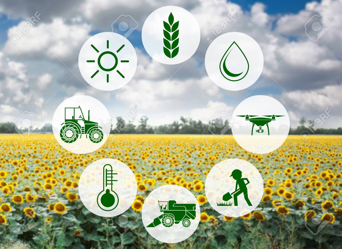 Icons And Field On Background. Concept Of Smart Agriculture And Modern  Technology Stock Photo, Picture And Royalty Free Image. Image 90496651.