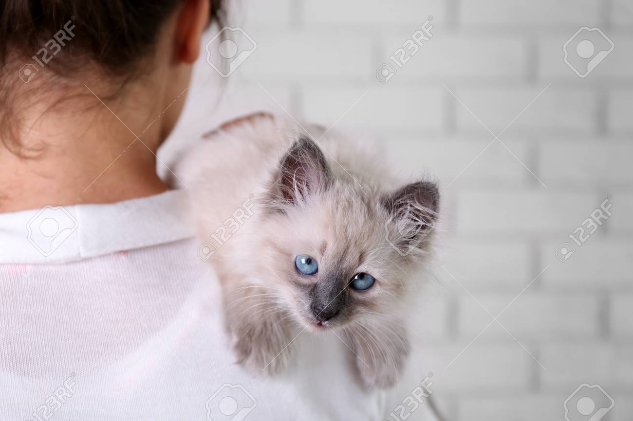 Što biste radili s osobom iznad, prikaži slikom - Page 22 92852869-young-woman-holding-cat-on-light-wall-background