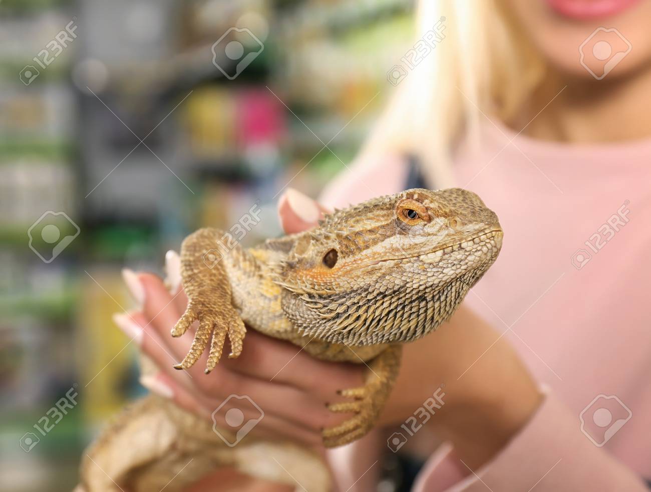 lizard pet shop