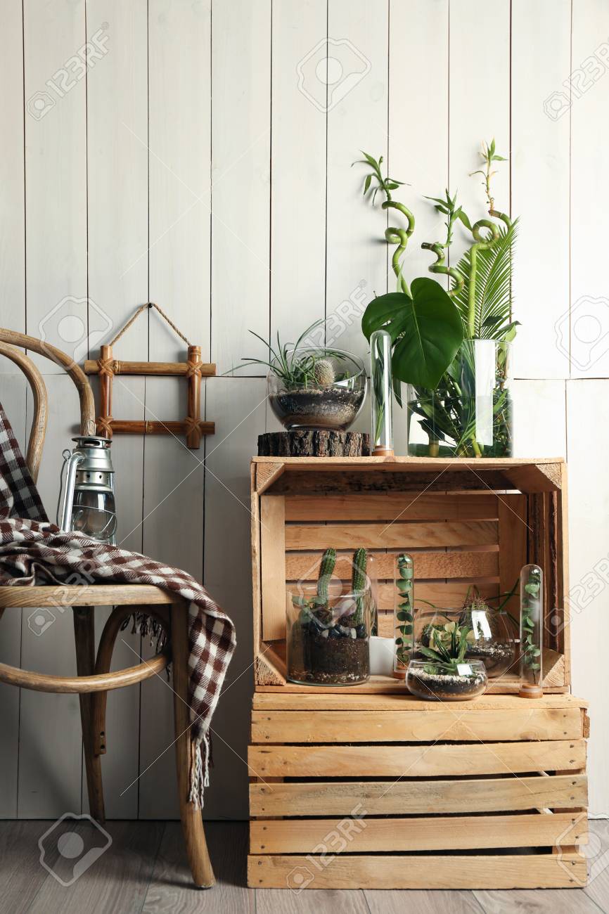 photo decorative glass vases with succulent and cactus plants in interior fromid=K2VpQkkwL3kxcEFUTC8xaGx2THpZdz09