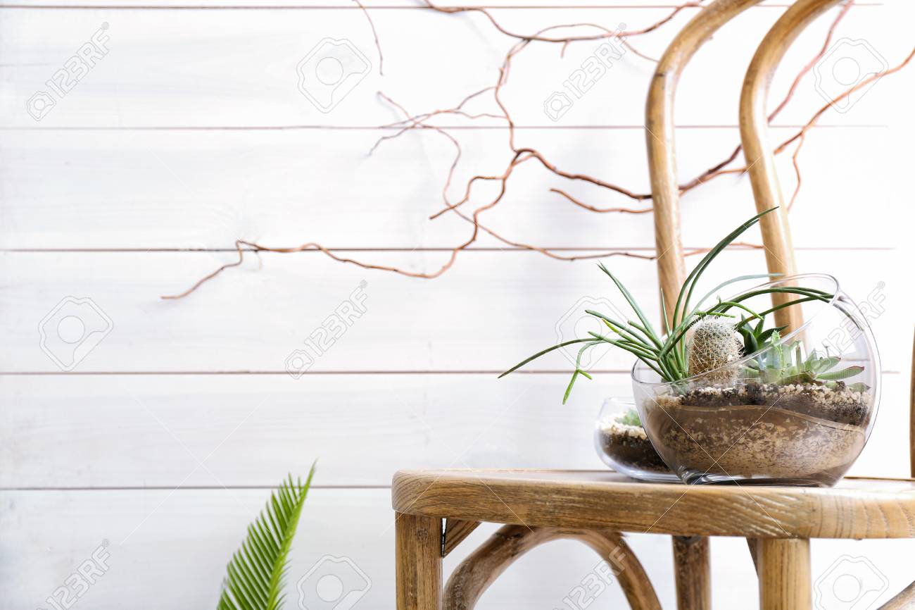 椅子に多肉植物とサボテンを持つフローラリウム の写真素材 画像素材 Image