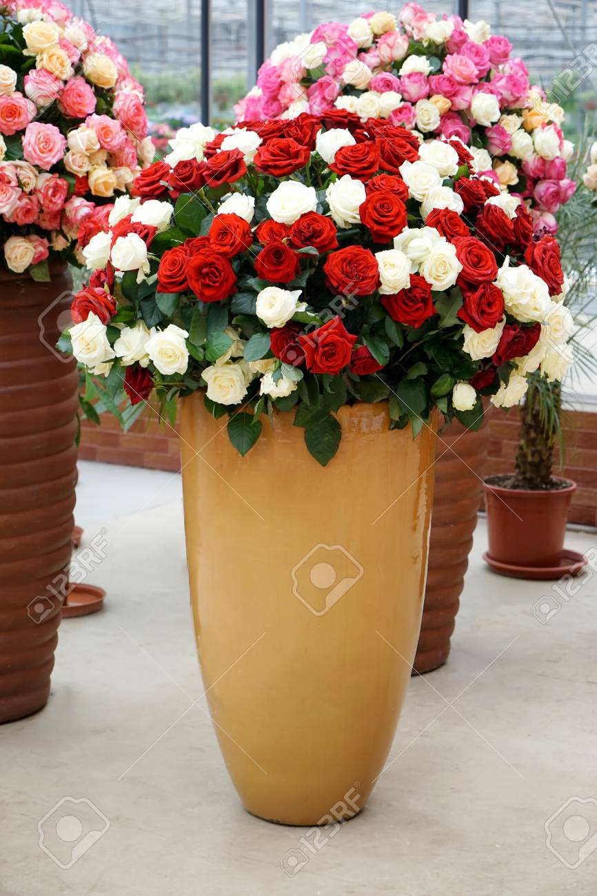Big Vase With Beautiful Roses In Flower Shop Stock Photo Picture