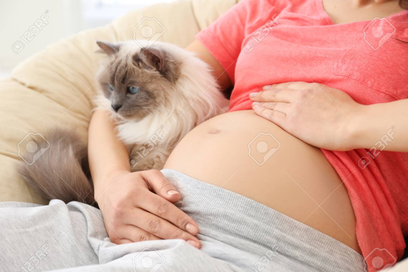 cat and pregnant woman