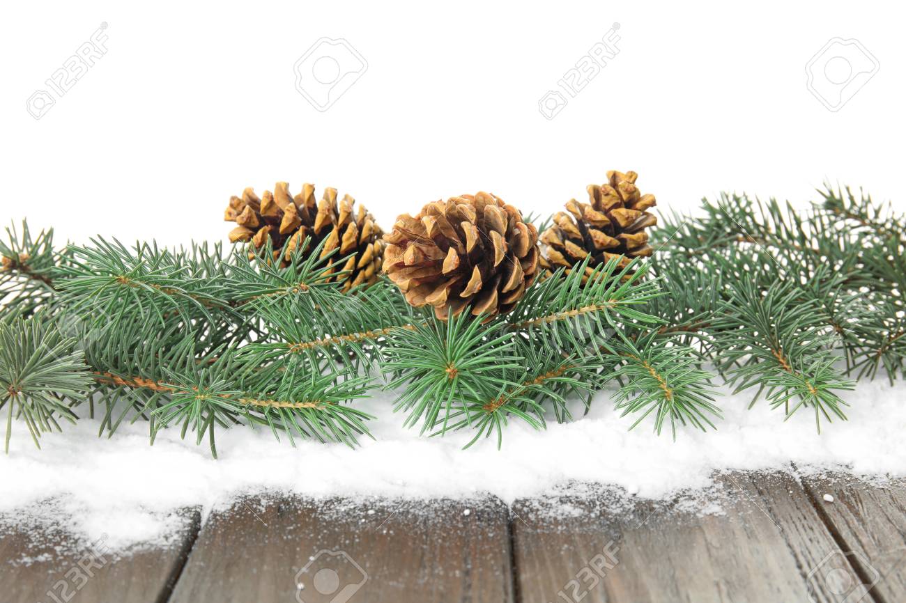 tree branch table tree trunk christmas tree branches with pine cones and snow on table against white background stock photo tree branches with pine cones and snow on table against tree branch table tree trunk christmas tree branches with pine cones and snow on table against white background stock photo tree branches with pine cones and snow on table against