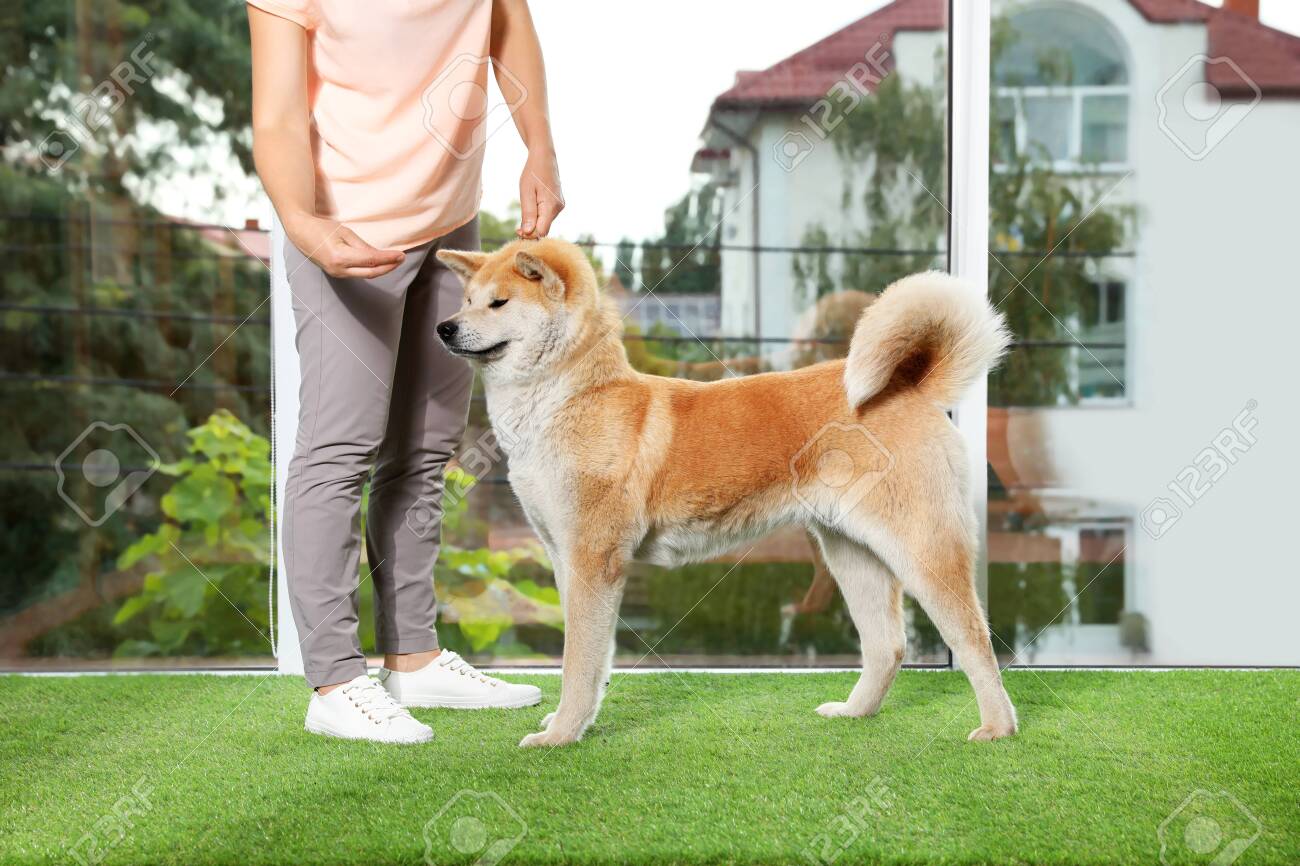 disney one hundred and one dalmatians