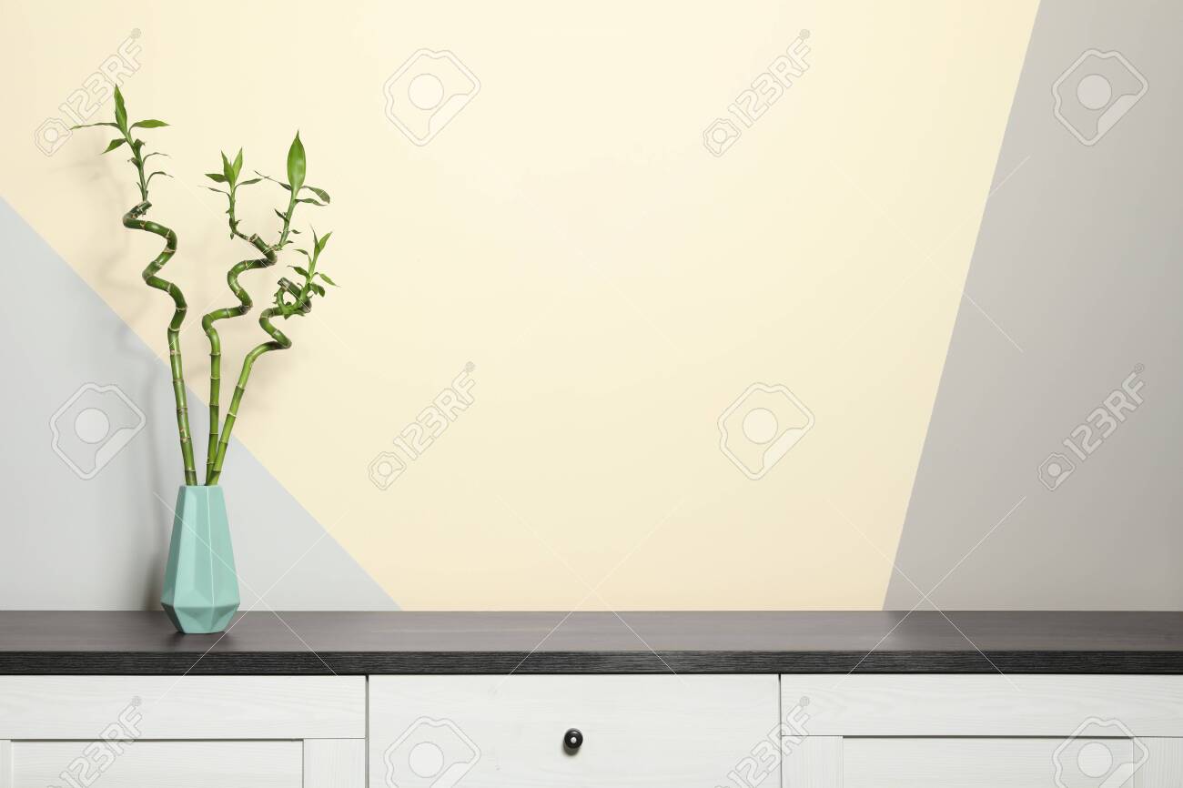 Vase With Bamboo Stems On Cabinet Against Color Wall Space For