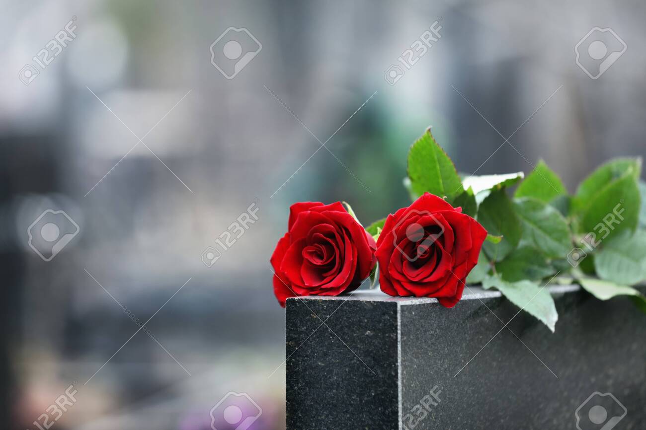 Red roses on black granite tombstone outdoors. Funeral ceremony - 136988222 Red roses on black granite tombstone outdoors. Funeral ceremony - 136988222