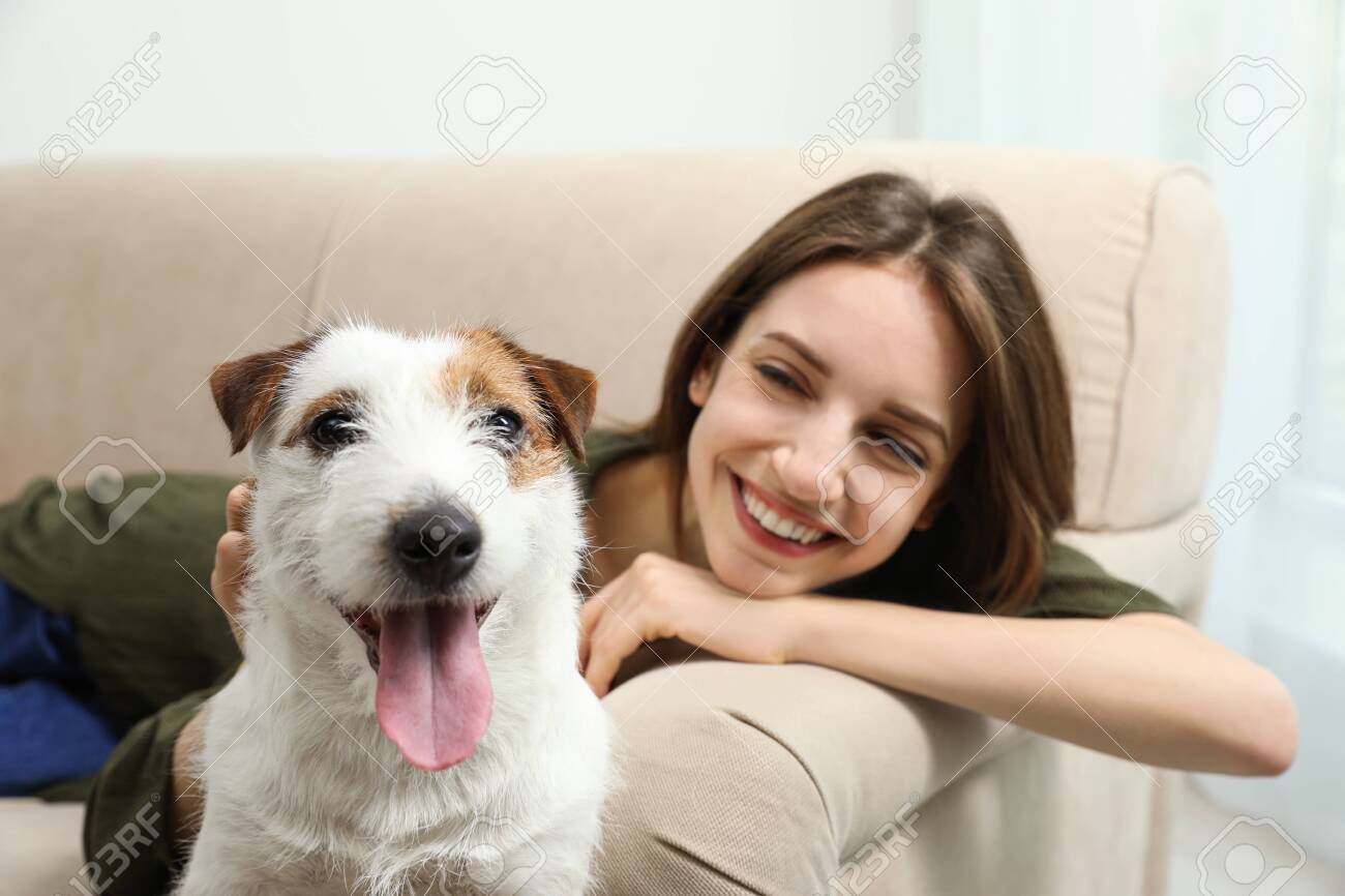 Young woman with her cute Jack Russell Terrier on sofa at home. Lovely pet - 142673980 Young woman with her cute Jack Russell Terrier on sofa at home. Lovely pet - 142673980