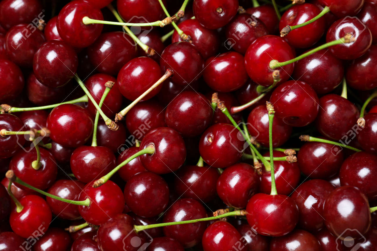 Ripe juicy cherries as background, closeup view - 155077140 Ripe juicy cherries as background, closeup view - 155077140