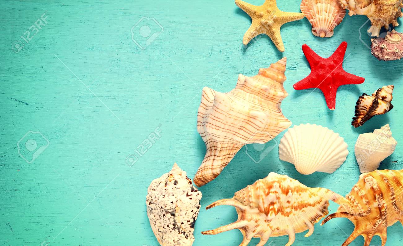 夏のコンセプトです ヒトデと貝殻青色の背景に の写真素材 画像素材 Image