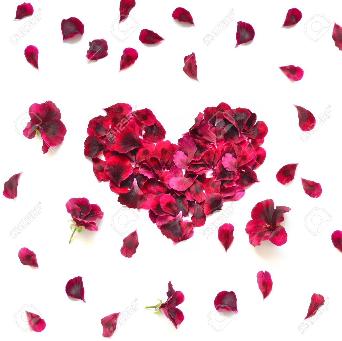 Coeur Fait De Petales De Rose Coeur De Petales De Rose Rouge Sur Fond Blanc Vue De Dessus Avec Un Espace De Copie Pour Votre Texte Amour Et Theme Romantique La Saint Coeur Fait De Petales De Rose Coeur De Petales De Rose Rouge Sur Fond Blanc Vue De Dessus Avec Un Espace De Copie Pour Votre Texte Amour Et Theme Romantique La Saint