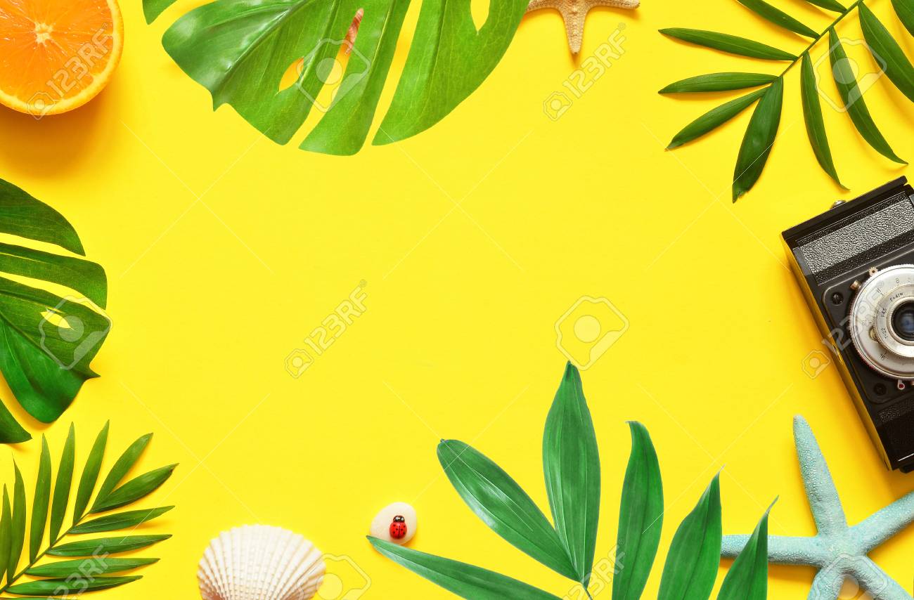 tropical background palm trees branches with starfish and seashell