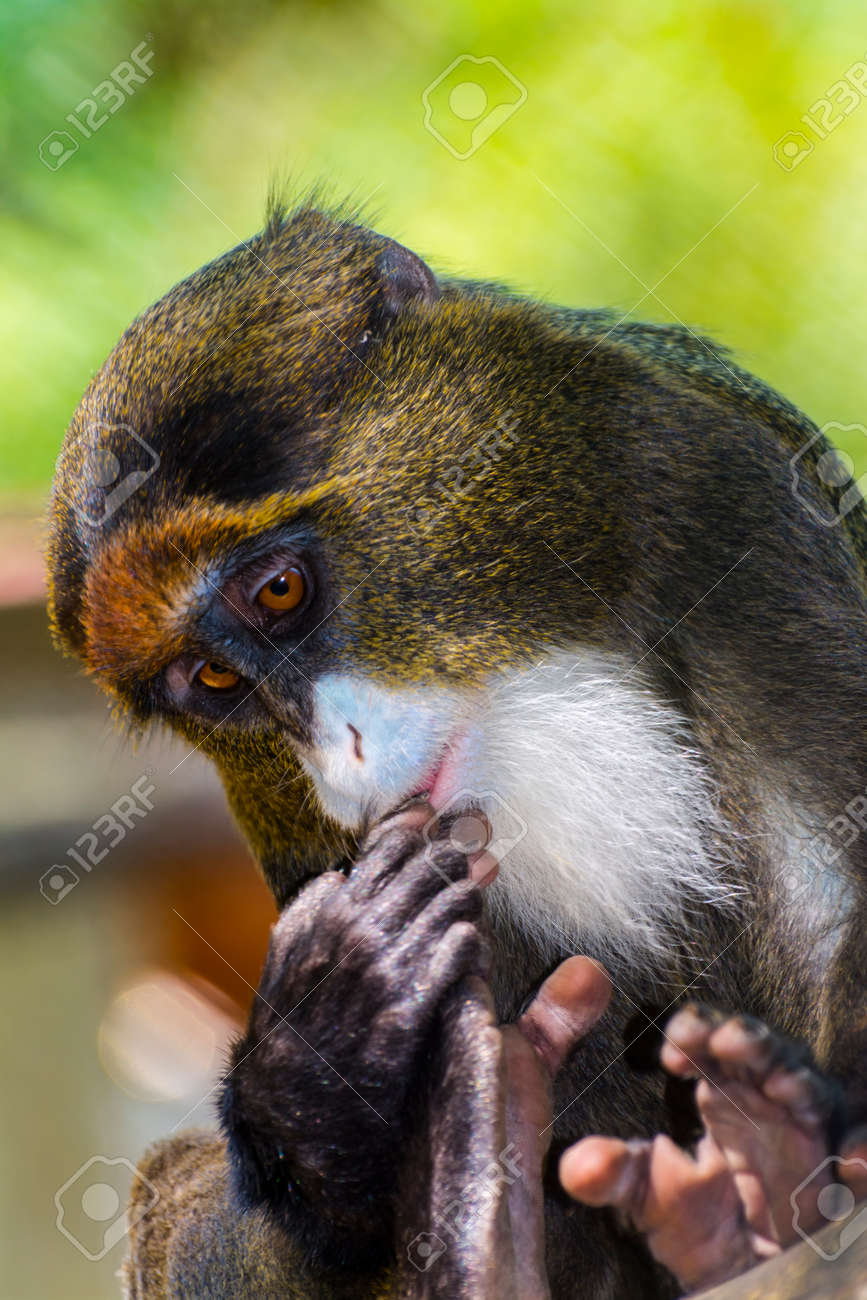 etiam-dictum-ipsum-a-felis