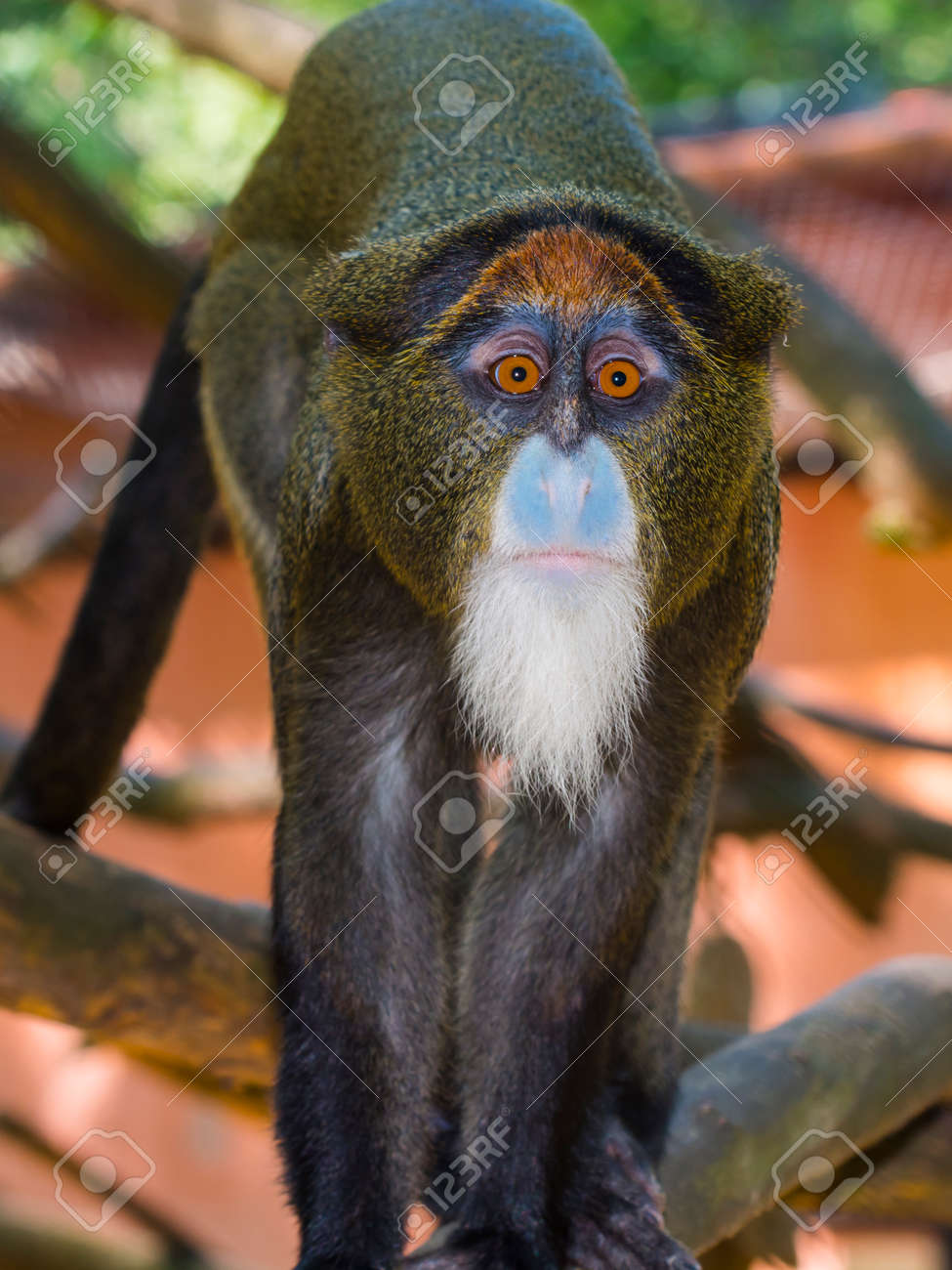 etiam-dictum-ipsum-a-felis