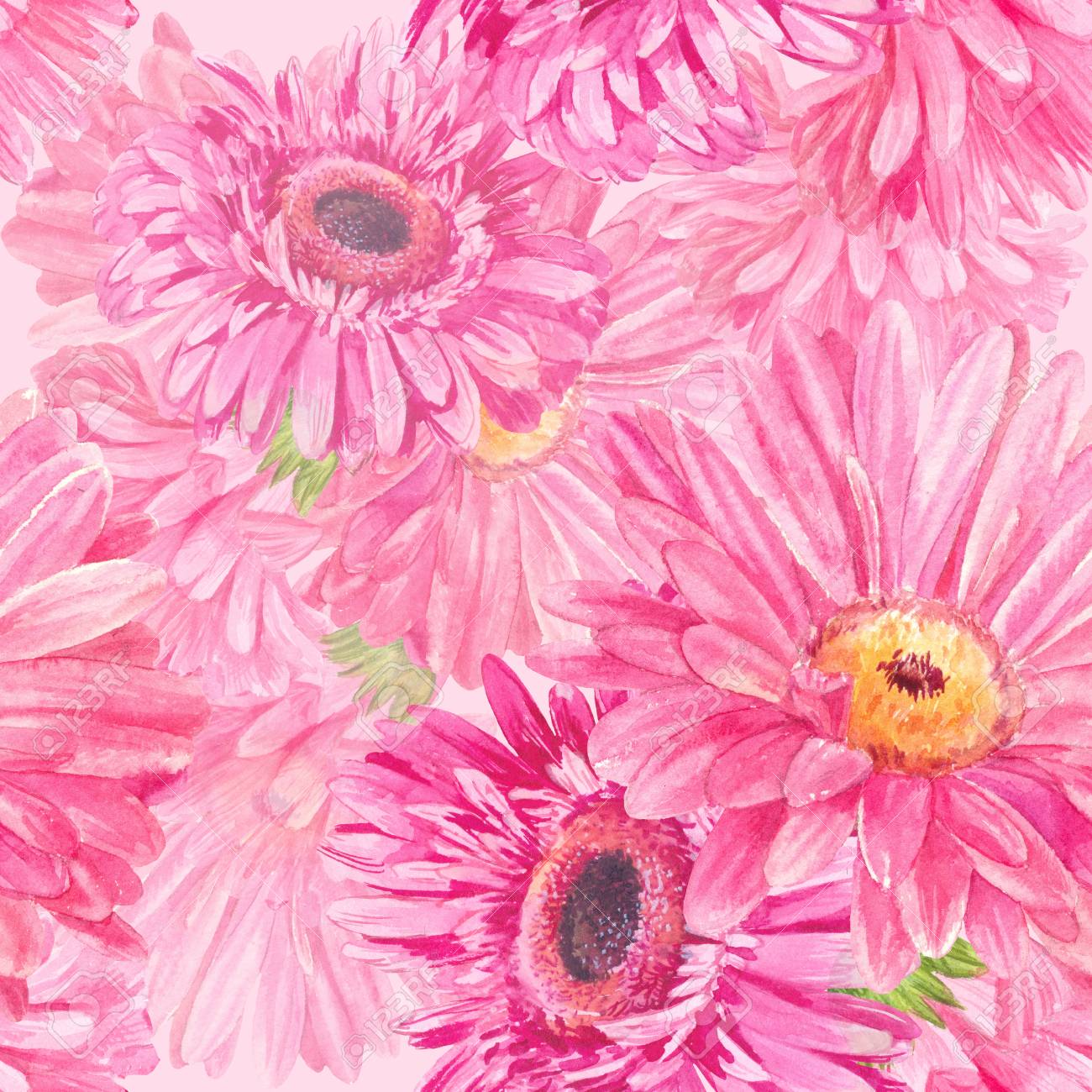 ピンクの花模様 シームレスな水彩夏のテクスチャです ガーベラや鎮静の背景 の写真素材 画像素材 Image