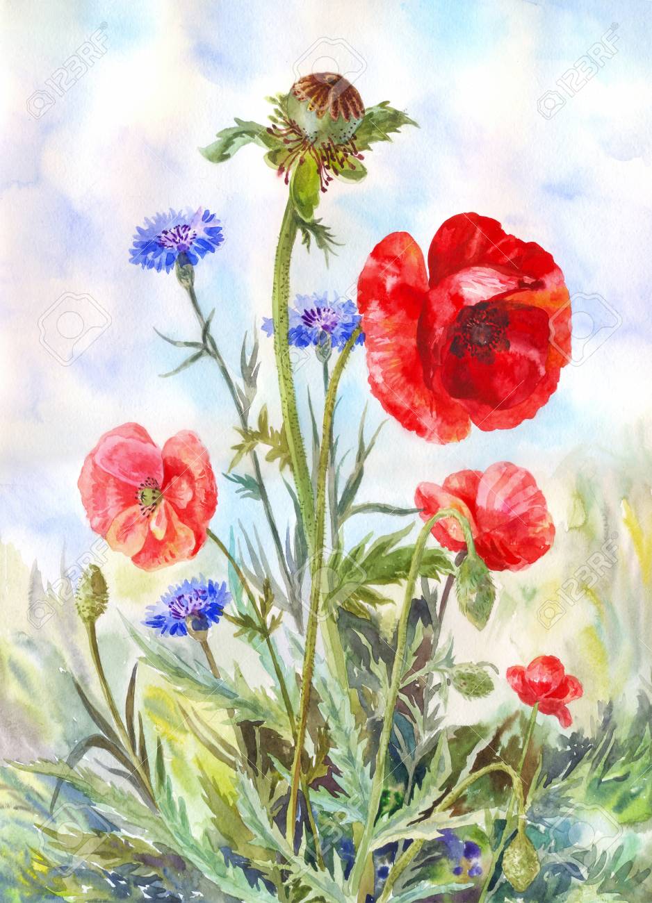 watercolor painting with red
