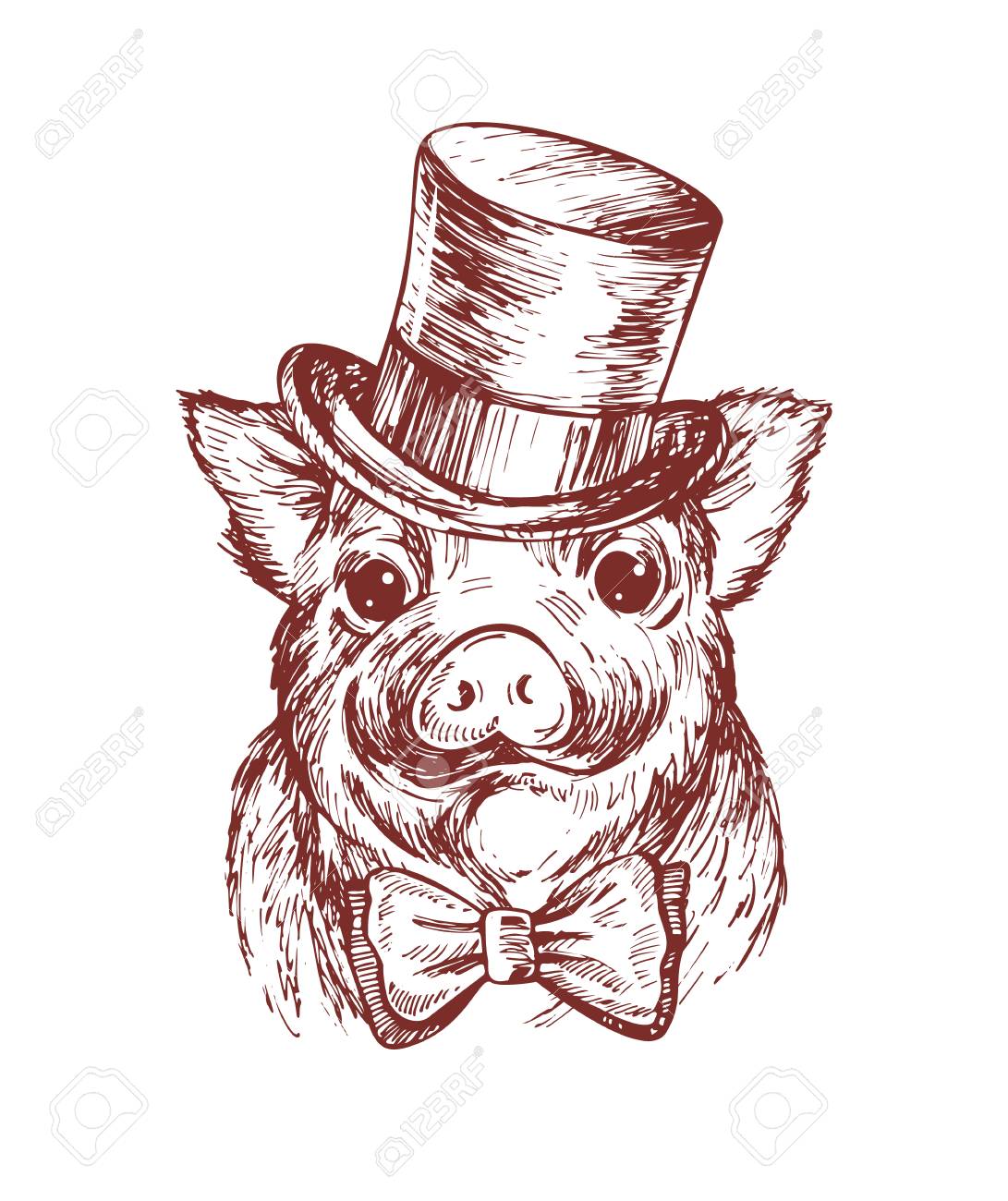 Hand Draw A Portrait Of A Little Pig Wearing A Top Hat And A Stock Photo Picture And Royalty Free Image Image