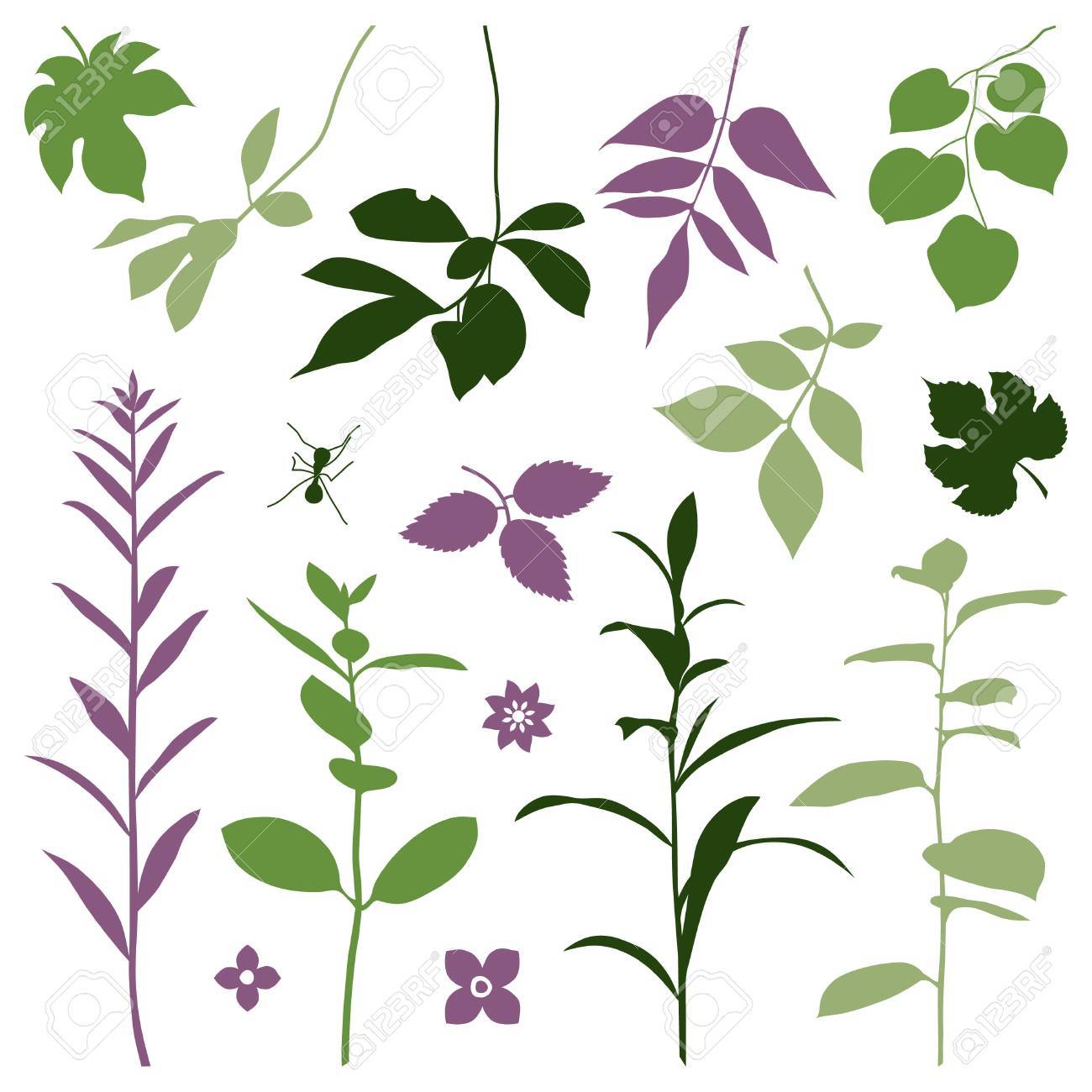 秋の植物のシルエットのセットです ベクトル イラスト のイラスト素材 ベクタ Image