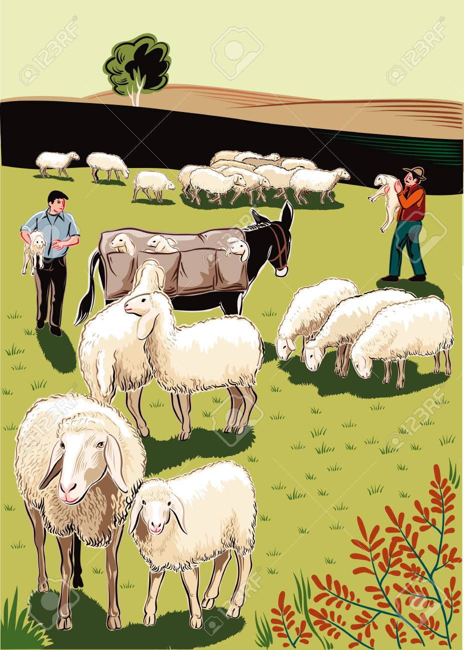 羊 羊飼い ラバ 羊たちの群れ のイラスト素材 ベクタ Image