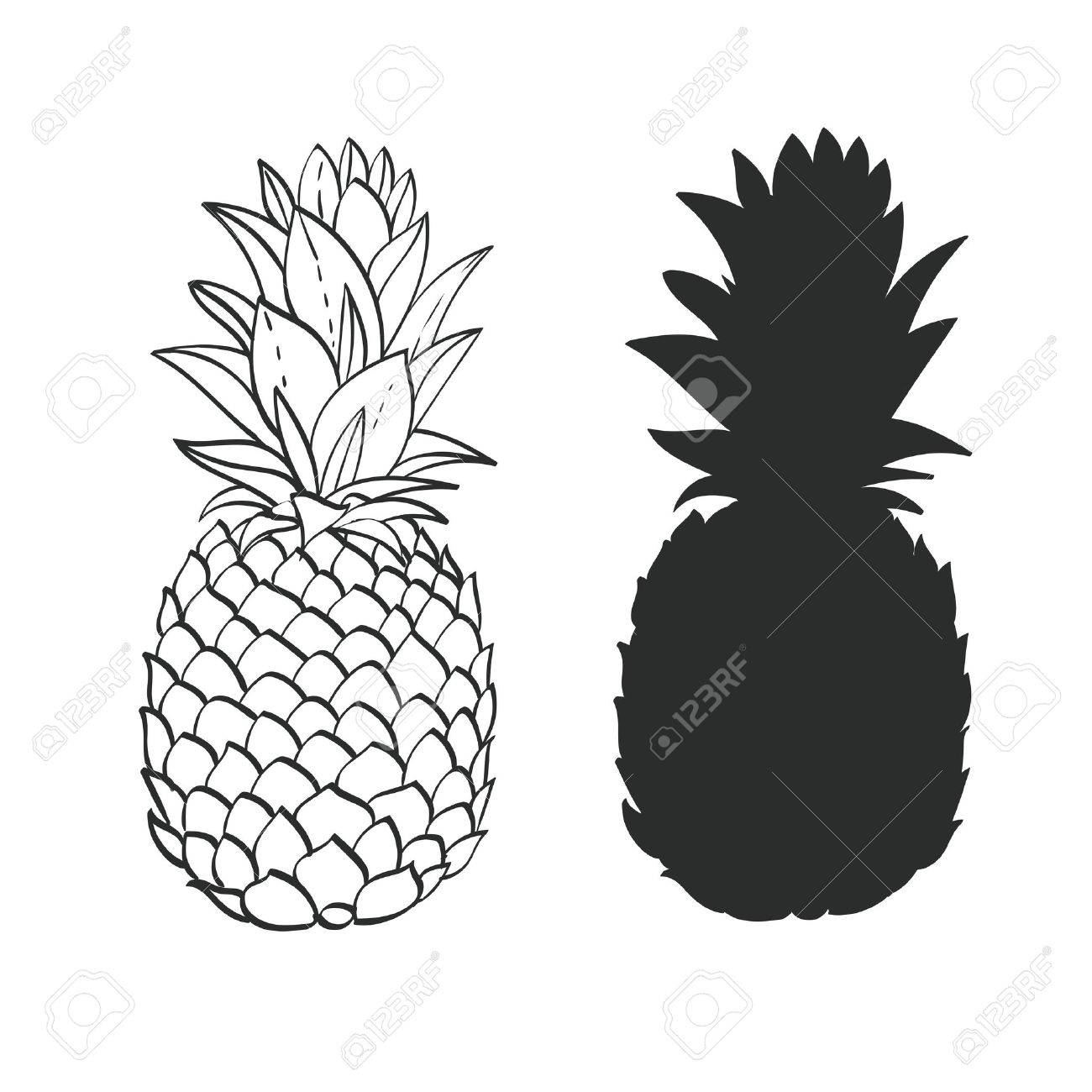 黒と白のパイナップルのイラスト素材 ベクタ Image