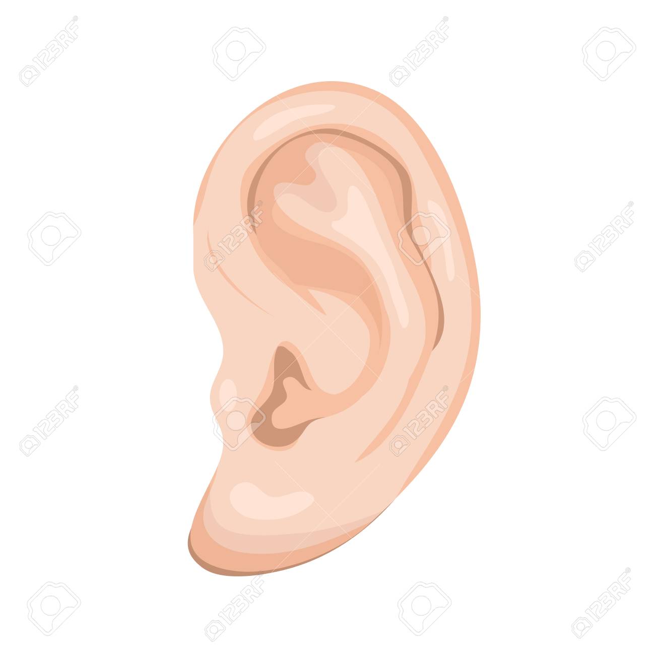 Illustration D Une Oreille Humaine De Bande Dessinee Isole Sur Fond Blanc Clip Art Libres De Droits Vecteurs Et Illustration Image