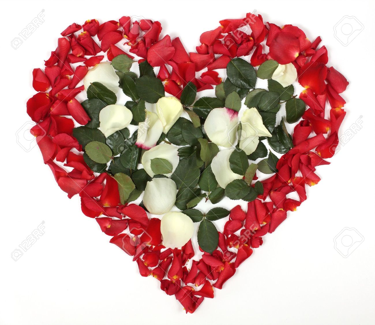 Bouquet De Rose En Forme De Coeur #6: Heart Shaped Bouquet Of Red And White Roses On White Background Stock Photo - 13138122 Bouquet De Rose En Forme De Coeur #6: Heart Shaped Bouquet Of Red And White Roses On White Background Stock Photo - 13138122