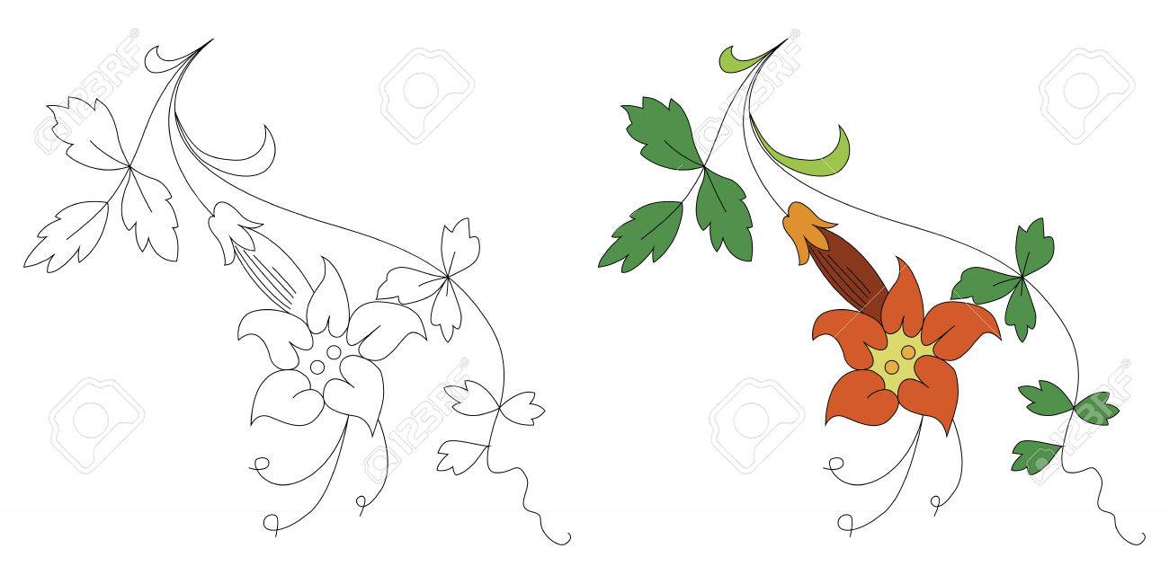 黒と白とカラーの花の飾り のイラスト素材 ベクタ Image