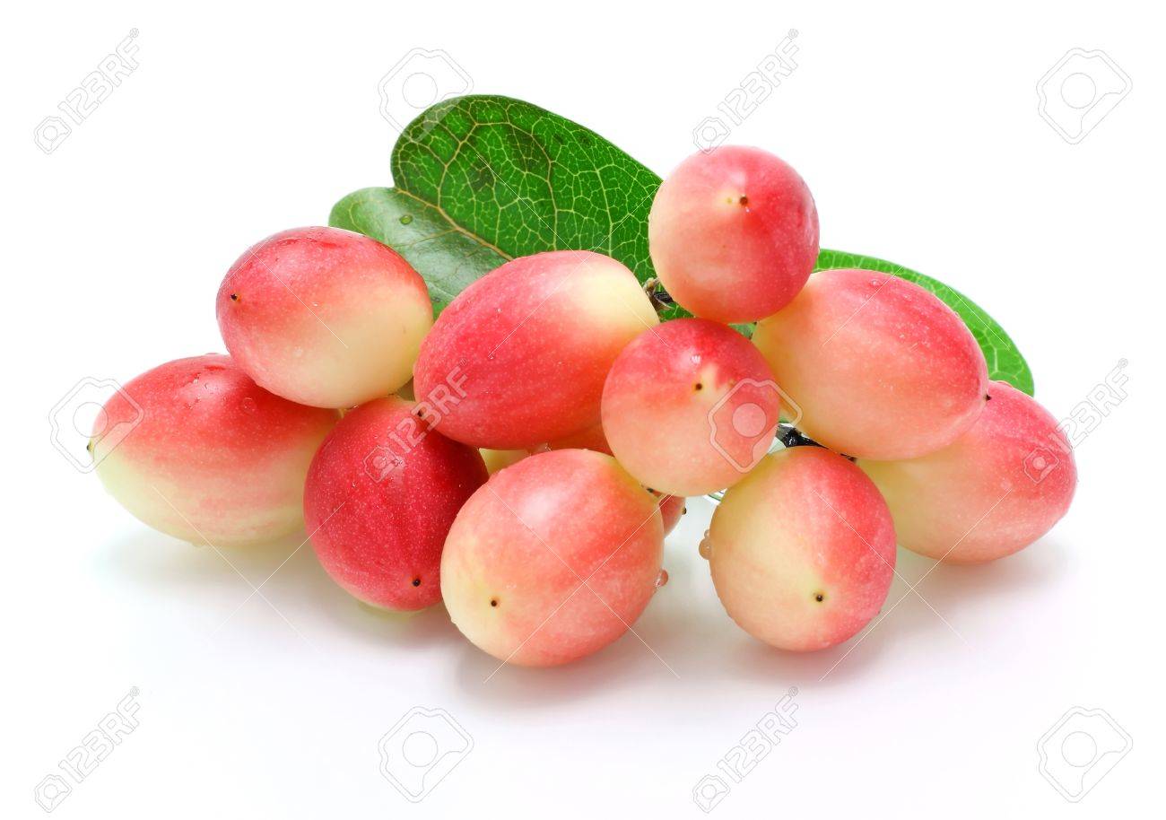 白い背景で隔離の Koromcha として名前を深紅色の果物 の写真素材 画像素材 Image