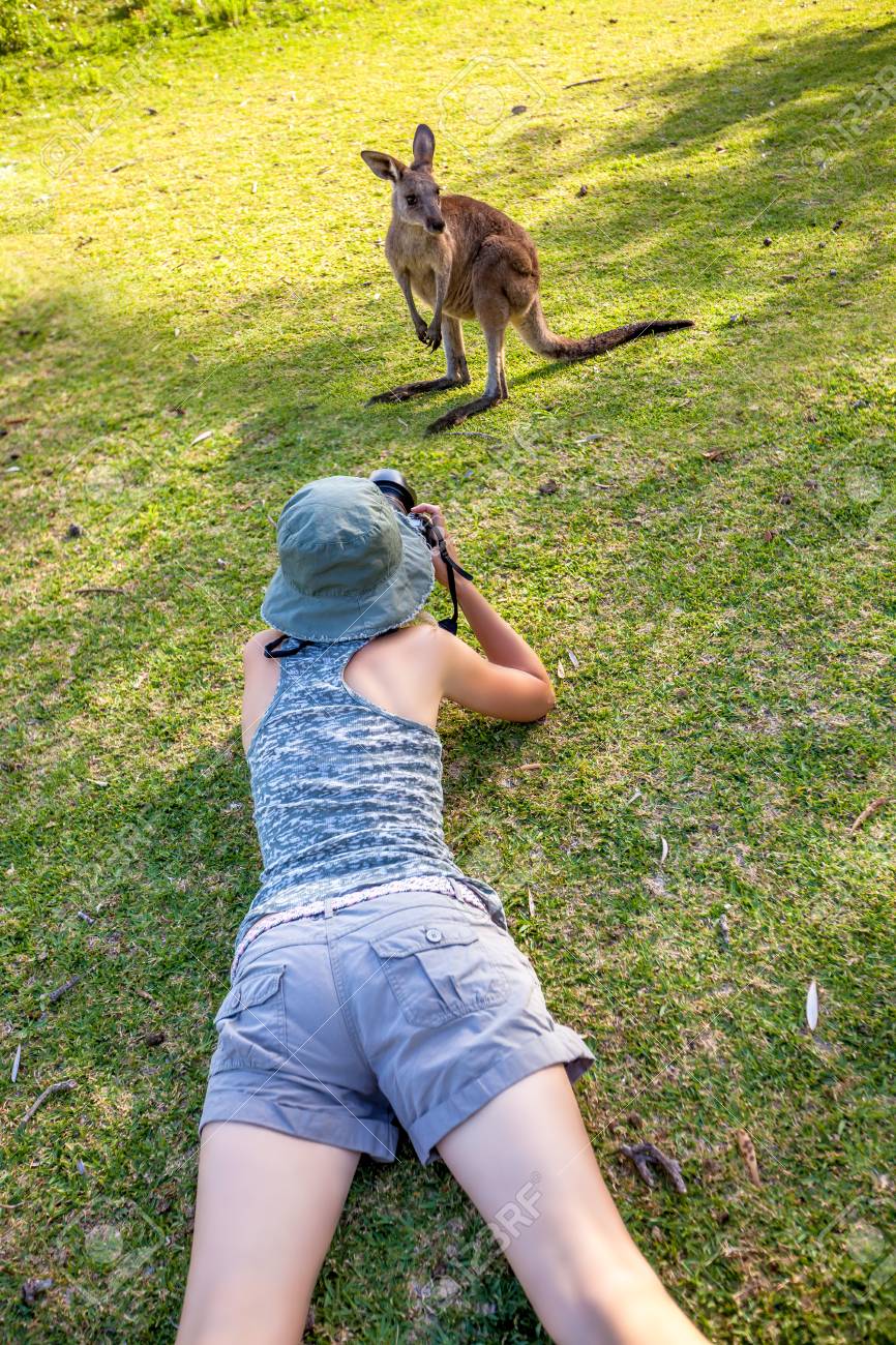 野生動物の女性写真家は 周囲の Pebbly ビーチ ムラマラング国立公園 ニュー サウス ウェールズ州オーストラリアの一部であるカンガルーで有名なカンガルー草の写真を撮る の写真素材 画像素材 Image 野生動物の女性写真家は 周囲の Pebbly ビーチ ムラマラング国立公園 ニュー サウス ウェールズ州オーストラリアの一部であるカンガルーで有名なカンガルー草の写真を撮る の写真素材 画像素材 Image