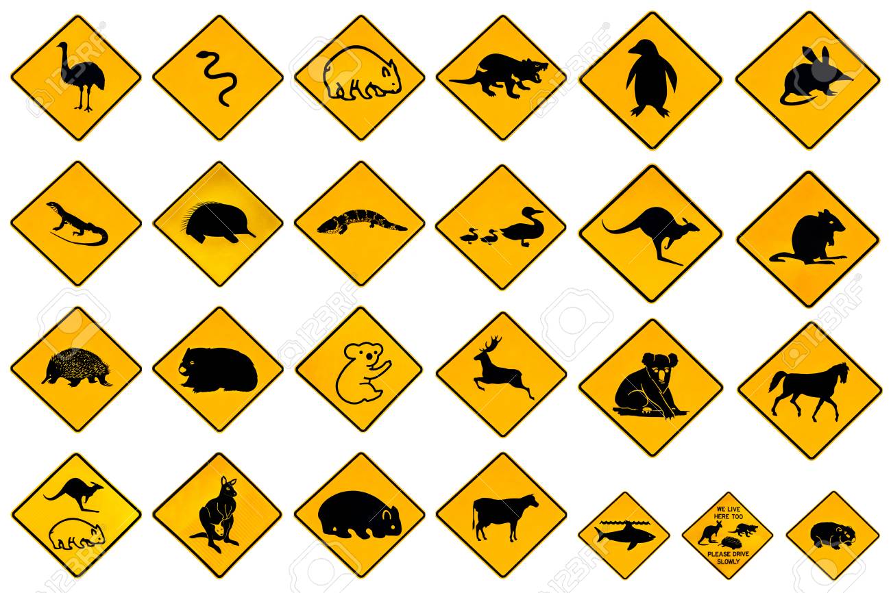 https://previews.123rf.com/images/bennymarty/bennymarty1804/bennymarty180400538/99799181-australian-warning-signs-for-wildlife-animals-emu-echidna-tasmanian-devil-wombat-kangaroo-penguin-sh.jpg