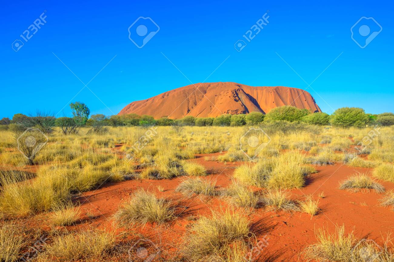 Red Sand Of Australian Outback At Ayers Rock In Dry Season, Huge Sandstone  Monolith In Uluru-Kata Tjuta National Park, Central Australia, Northern  Territory. Icon Of Red Centre. Blue Sky, Copy Space. Stock, image size:1300x866