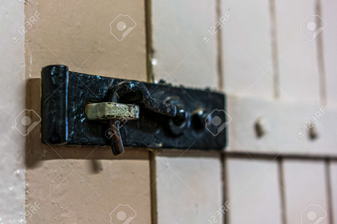 etiam-dictum-ipsum-a-felis